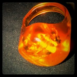 Beautiful orange Amber ring with real Bee inside🤷
